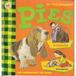 Pies