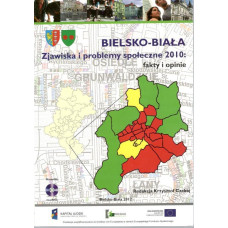 Bielsko-Biała : zjawiska i problemy społeczne 2010 : fakty i opinie