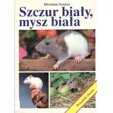 Szczur biały, mysz biała