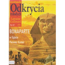 Bonaparte : w Egipcie : Pierwszy Konsul 