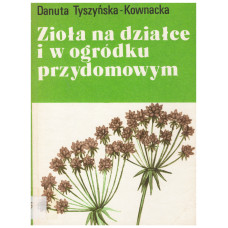 Zioła na działce i w ogródku przydomowym