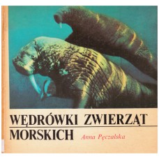 Wędrówki zwierząt morskich