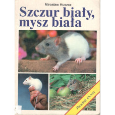 Szczur biały, mysz biała