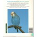 Papużka falista : prawidłowo pielęgnować i rozumieć