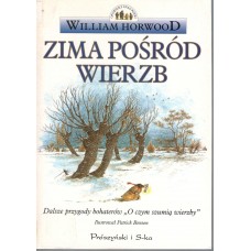 Zima pośród wierzb