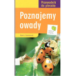 Poznajemy owady