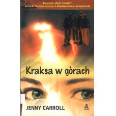 Kraksa w górach