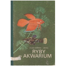 Ryby w akwarium