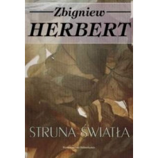 Struna światła Struna światła