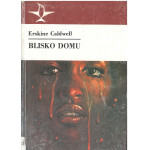 Blisko domu
