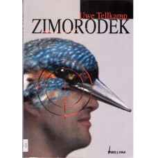 Zimorodek