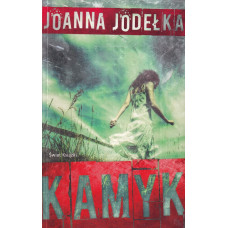 Kamyk