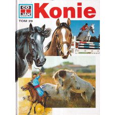 Konie