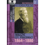 Walczyć czy pracować ? : 1864-1880