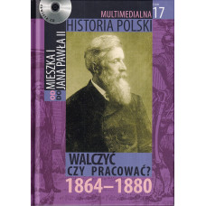 Walczyć czy pracować ? : 1864-1880