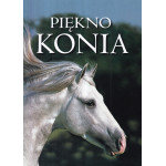Piękno konia