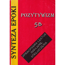 Pozytywizm : opracowania lektur, dokładne streszczenia