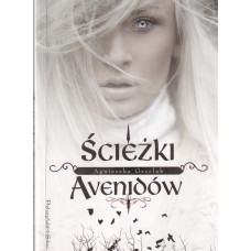 Ścieżki Avenidów Ścieżki Avenidów