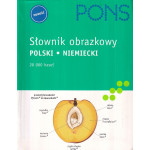 Słownik obrazkowy polski - niemiecki : 20 000 haseł