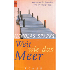 Weit wie das Meer : Roman