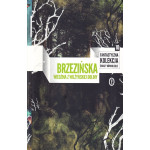 Wiedźma z Wilżyńskiej Doliny