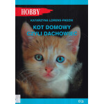 Kot domowy czyli dachowiec
