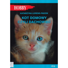Kot domowy czyli dachowiec