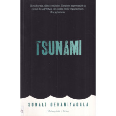 Tsunami