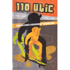 110 ulic