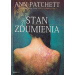 Stan zdumienia