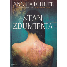 Stan zdumienia