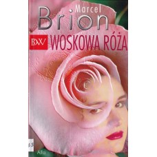 Woskowa róża