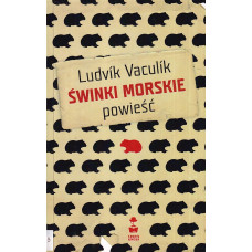 Świnki morskie