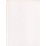 Córka Michorowskich