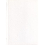 Stefania : szczęśliwy powrót Trędowatej