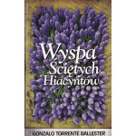 Wyspa Ściętych Hiacyntów : list miłosny z interpolacjami magicznymi