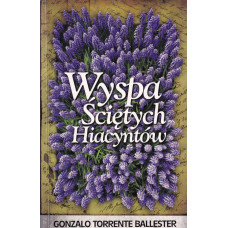 Wyspa Ściętych Hiacyntów : list miłosny z interpolacjami magicznymi