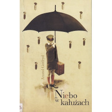 Niebo w kałużach : między Galicją a Kurfürstendammem