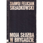 Moja służba w brygadzie : pamiętnik polowy