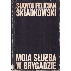 Moja służba w brygadzie : pamiętnik polowy