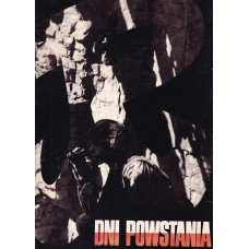 Dni powstania : kronika fotograficzna walczącej Warszawy