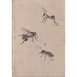 I owady są architektami