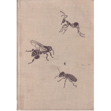 I owady są architektami I owady są architektami