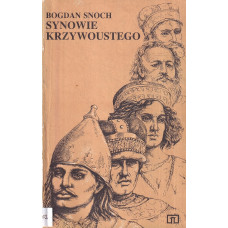 Synowie Krzywoustego : opowieść o początkach rozbicia dzielnicowego w Polsce