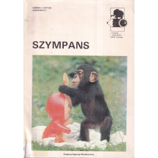 Szympans