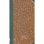 Gwiazda sezonu Gwiazda sezonu