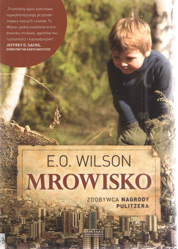 Mrowisko