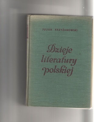Dzieje literatury polskiej : od początków do czasów najnowszych