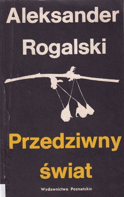 Przedziwny świat : szkice z dziejów literatury niemieckiej