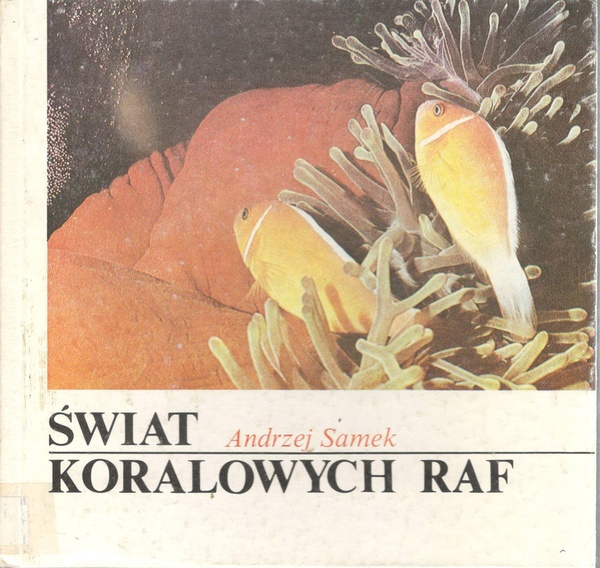 Świat koralowych raf